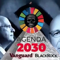 Global technocracy, Agenda 2030, digital surveillance and the end of privacy photo