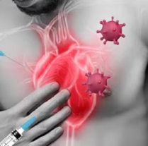 STANFORD OTKRIVA MEHANIZAM: Zašto COVID mRNA cjepiva mogu uzrokovati miokarditis photo