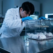 It’s started: Moderna is working on a new mRNA vaccine against “Hantavirus” photo