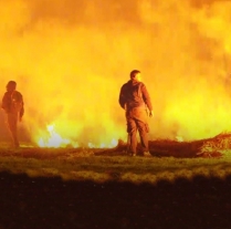 Stočari digli pobunu – Blokade, sukobi s policijom, otvoreno odbijanje eutanazije zdravih životinja… photo
