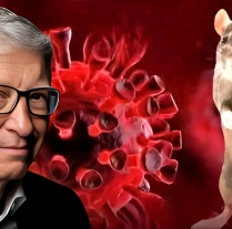 „Sljedeća pandemija?“ – Zašto je hantavirus već bio na dnevnom redu Billa Gatesa 2021. godine photo